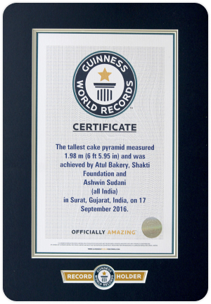 Guinness-world-records-image